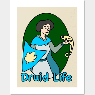 Druid Life Speaking with a Chameleon Posters and Art